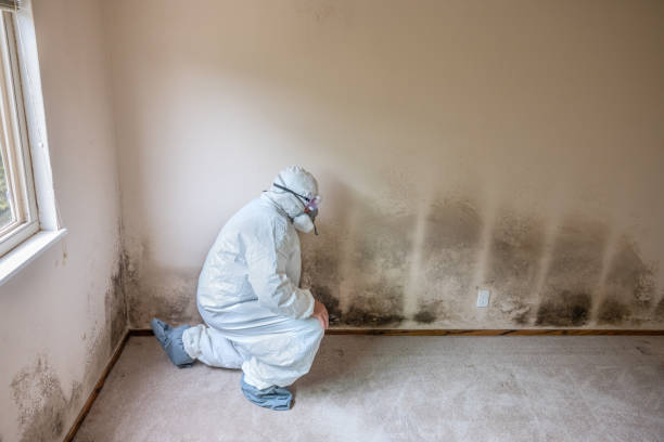Pawhuska, OK Mold Remediation Company